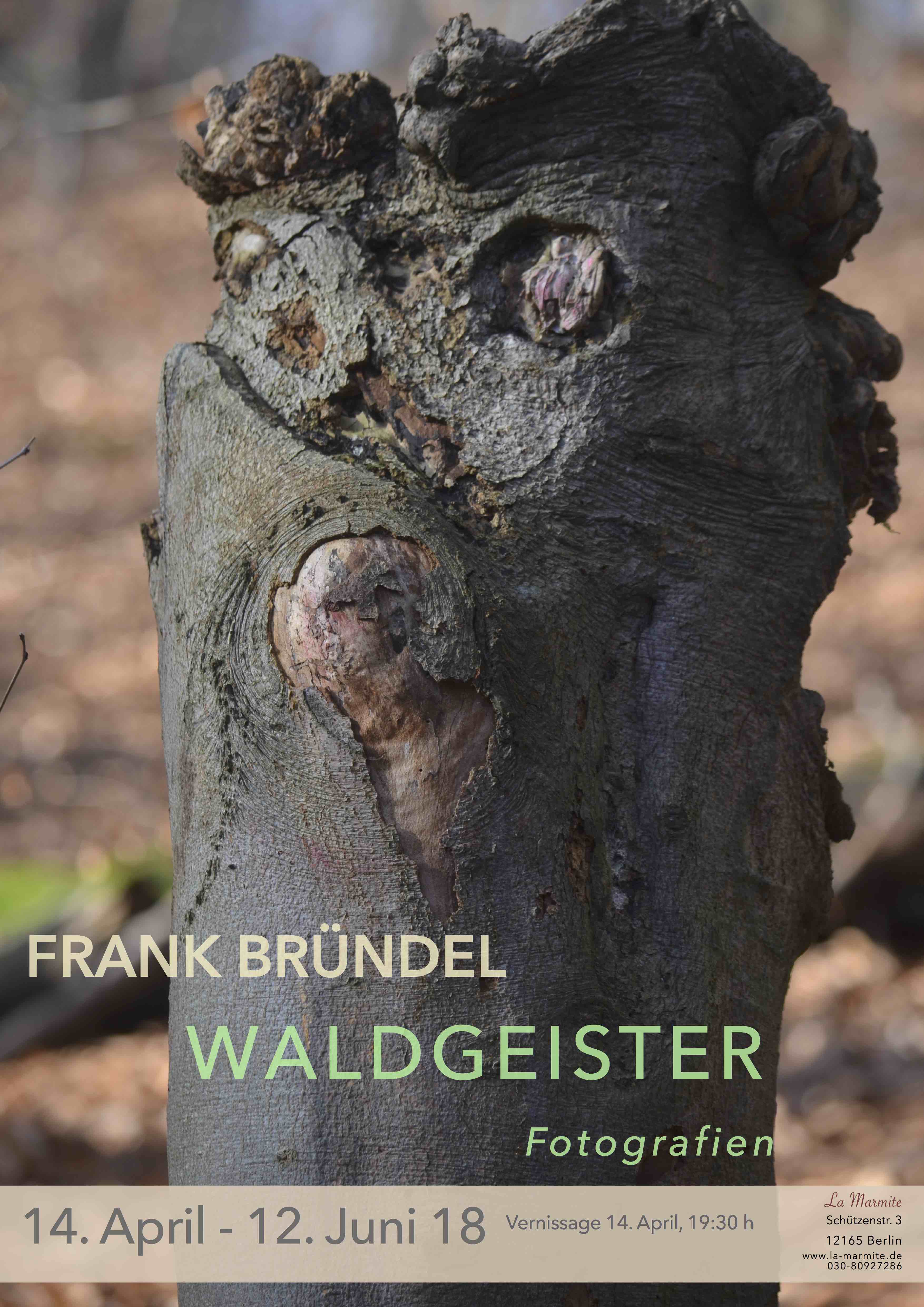Waldgeister plakat.jpg